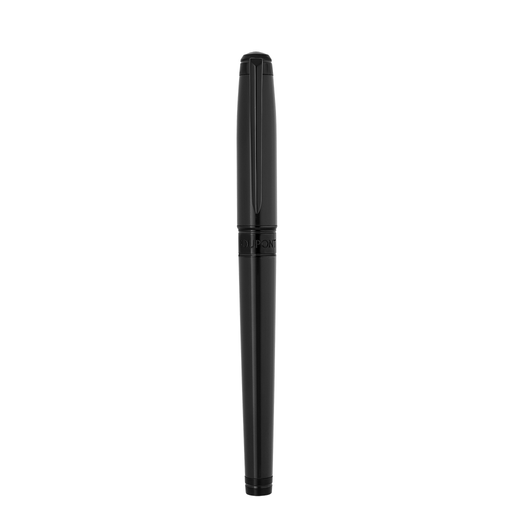 Dupont Line D Eternity Fountain pen