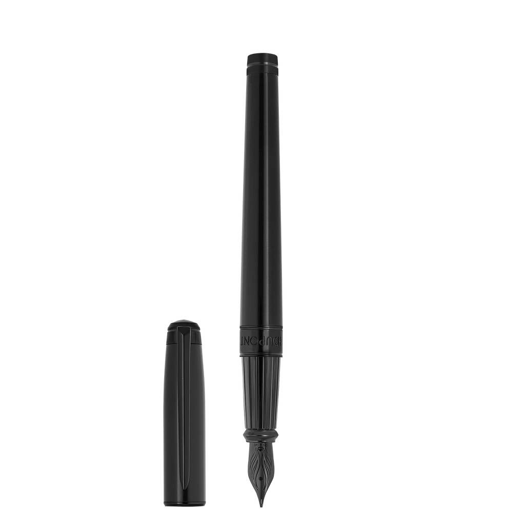 Dupont Line D Eternity Fountain pen